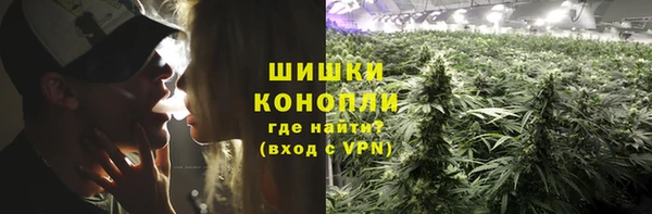 дживик Няндома
