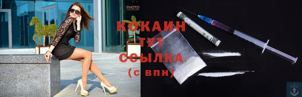 дживик Няндома